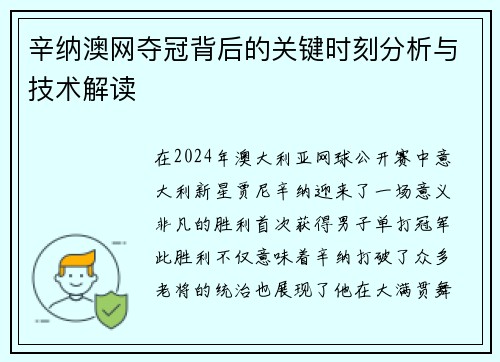 辛纳澳网夺冠背后的关键时刻分析与技术解读
