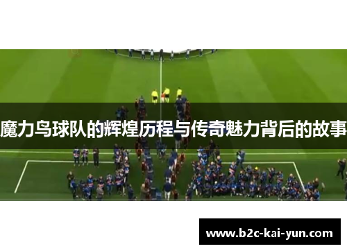 魔力鸟球队的辉煌历程与传奇魅力背后的故事