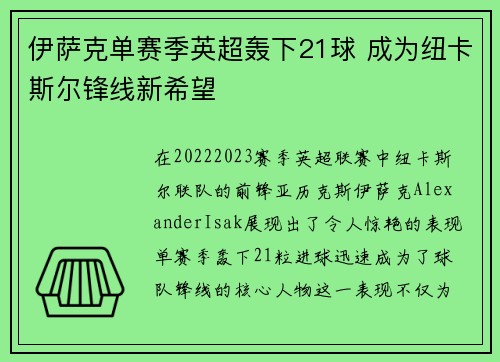 伊萨克单赛季英超轰下21球 成为纽卡斯尔锋线新希望